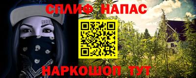 хмурый Будённовск
