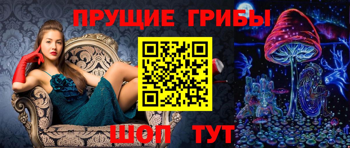 Псилоцибиновые грибы Psilocybine cubensis Мценск