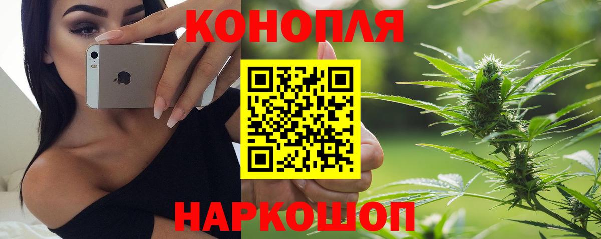 МАРИХУАНА план Мценск